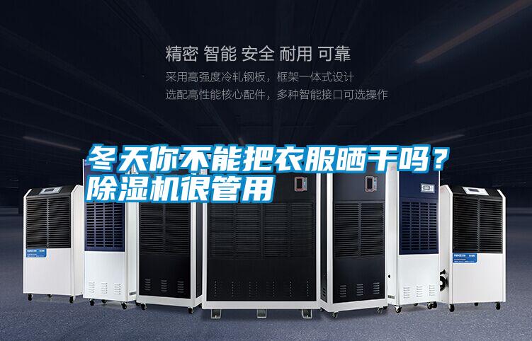 冬天你不能把衣服曬干嗎？除濕機很管用