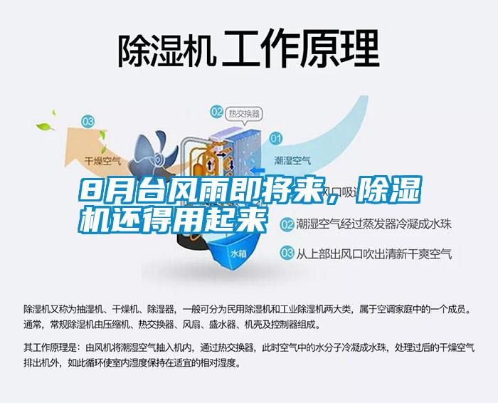 8月臺(tái)風(fēng)雨即將來，除濕機(jī)還得用起來