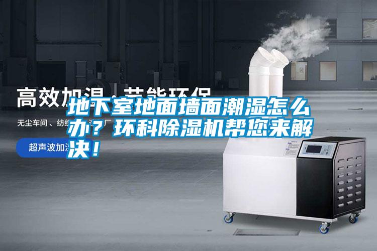 地下室地面墻面潮濕怎么辦？環科除濕機幫您來解決！