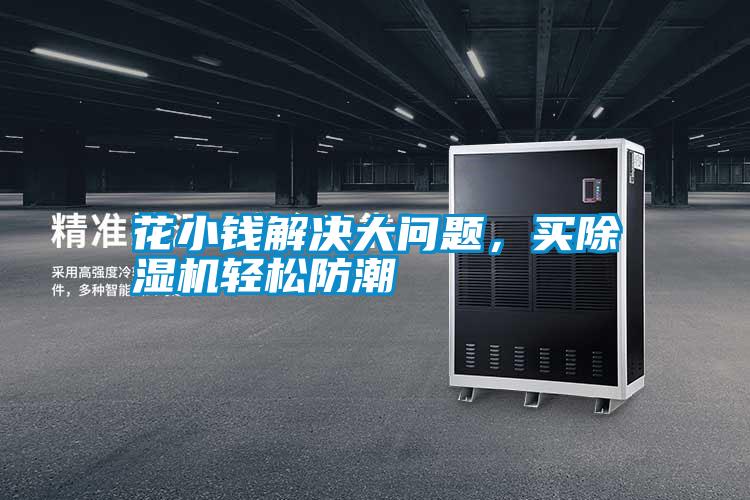 花小錢解決大問題，買除濕機輕松防潮