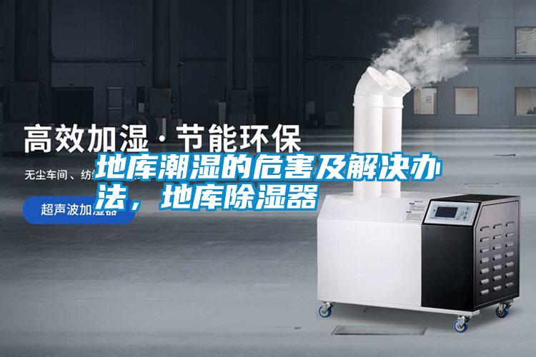 地庫(kù)潮濕的危害及解決辦法，地庫(kù)除濕器