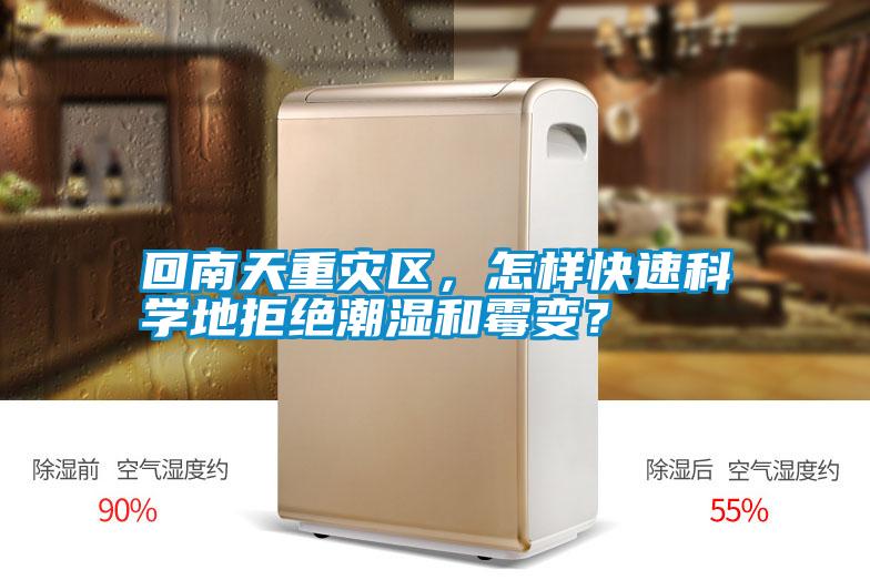 回南天重災區，怎樣快速科學地拒絕潮濕和霉變？