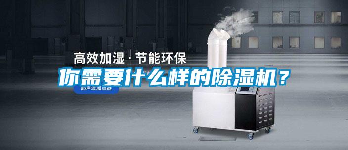 你需要什么樣的除濕機？