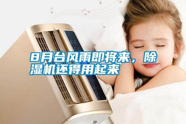8月臺(tái)風(fēng)雨即將來，除濕機(jī)還得用起來