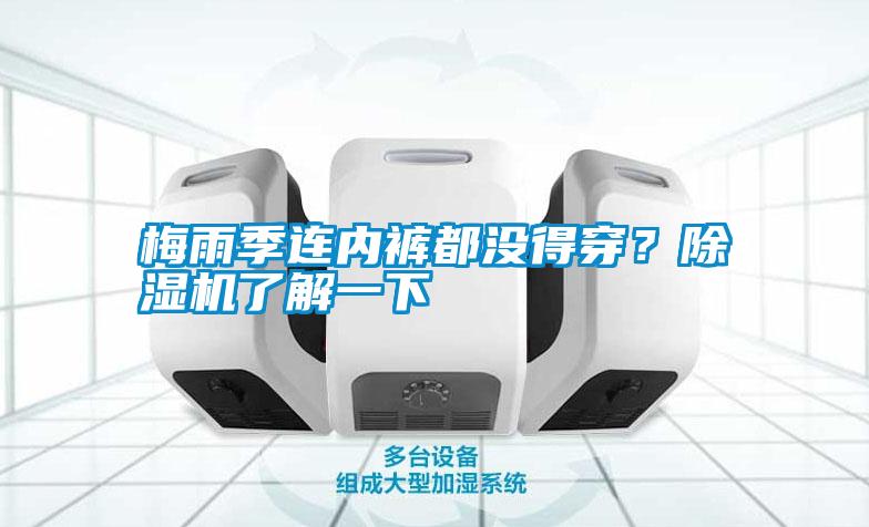 梅雨季連內褲都沒得穿？除濕機了解一下
