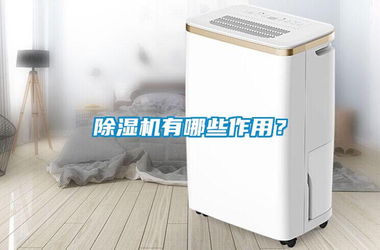 除濕機有哪些作用?