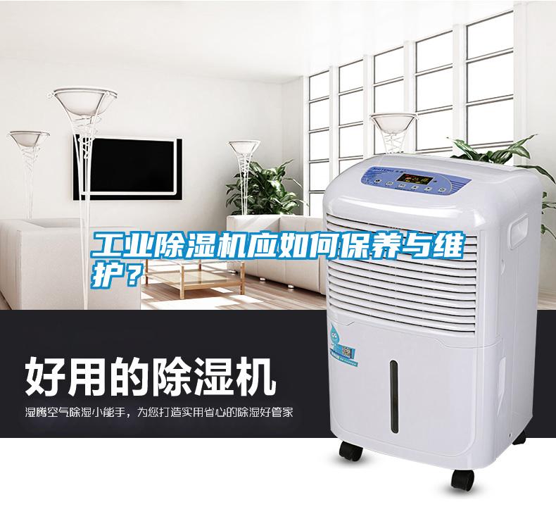 工業除濕機應如何保養與維護？