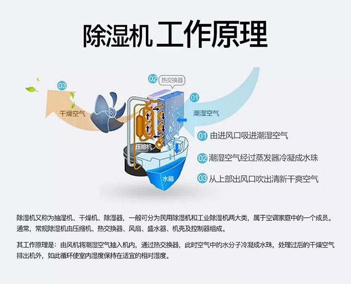 中藥材怎么烘干不變色?中藥材烘干用除濕機