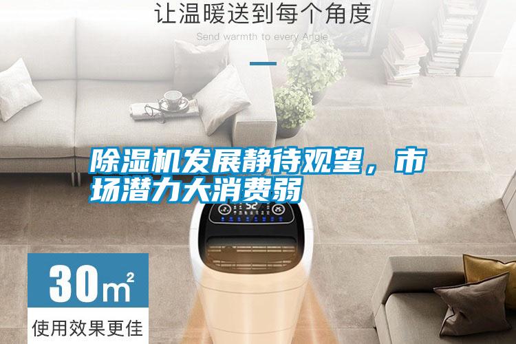 除濕機發展靜待觀望，市場潛力大消費弱