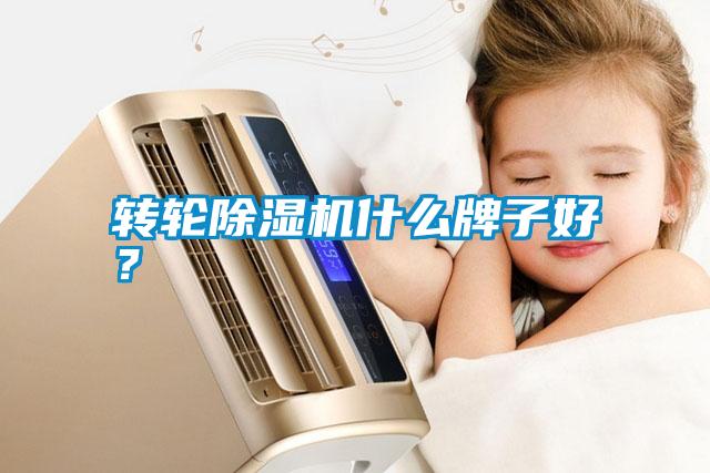 轉輪除濕機什么牌子好?