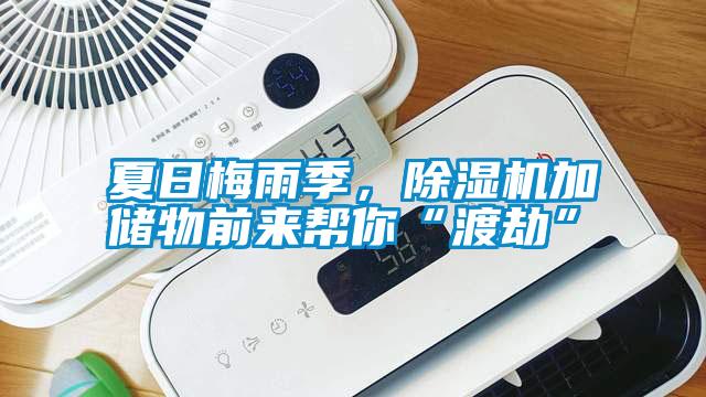 夏日梅雨季，除濕機加儲物前來幫你“渡劫”