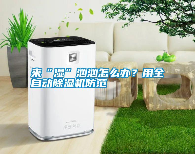 來“濕”洶洶怎么辦？用全自動除濕機(jī)防范