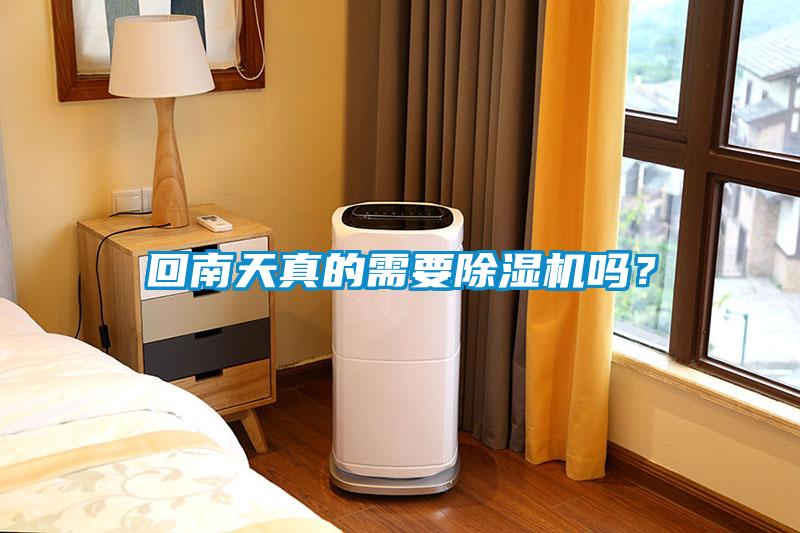 回南天真的需要除濕機嗎？