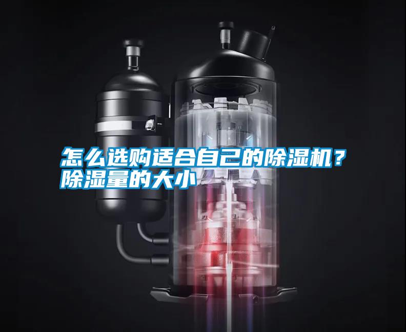 怎么選購適合自己的除濕機(jī)？除濕量的大小