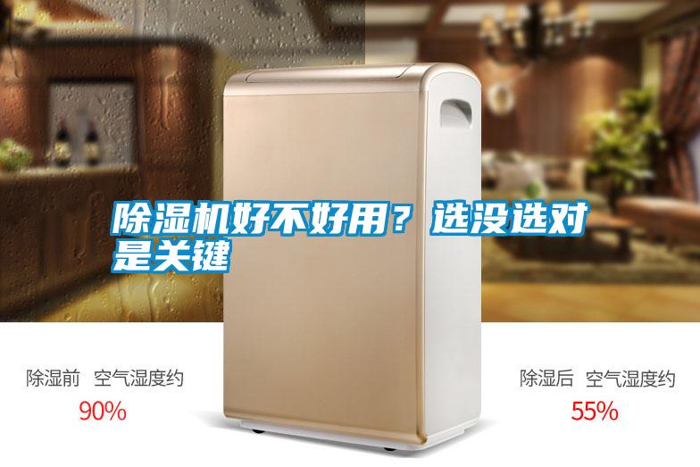 除濕機好不好用？選沒選對是關鍵