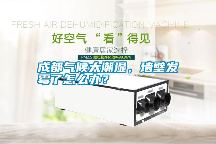 成都氣候太潮濕，墻壁發(fā)霉了怎么辦？