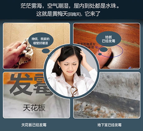 梅雨季將至，除濕機了解一下！