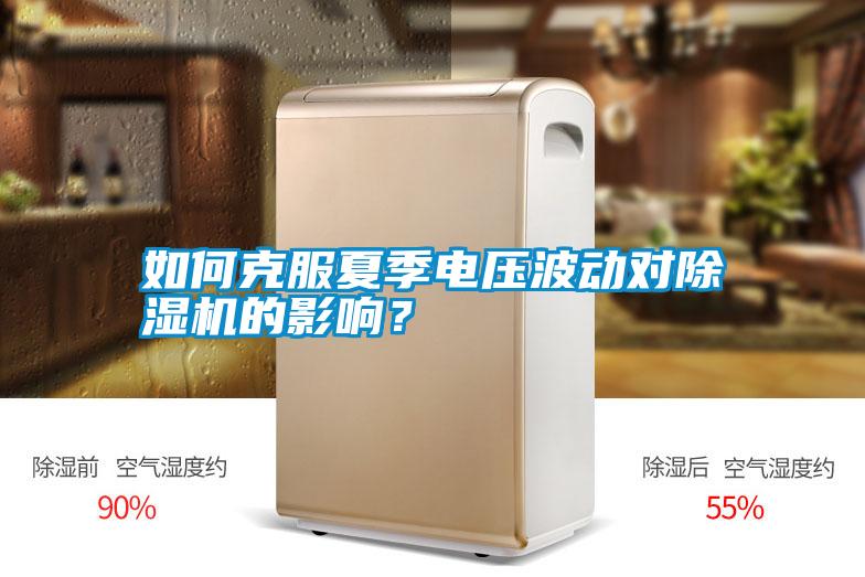如何克服夏季電壓波動對除濕機的影響?