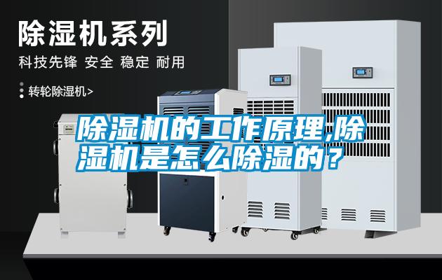 除濕機的工作原理,除濕機是怎么除濕的?
