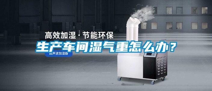 生產車間濕氣重怎么辦?