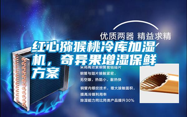 紅心獼猴桃冷庫加濕機，奇異果增濕保鮮方案