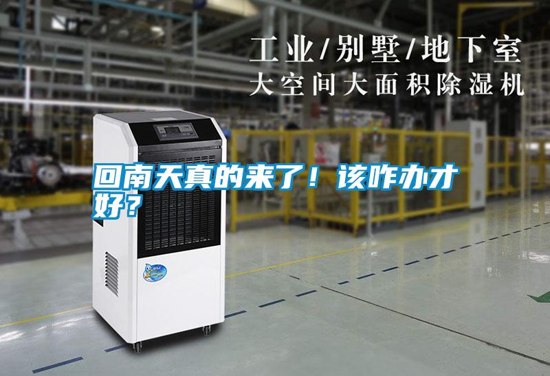 回南天真的來了！該咋辦才好？