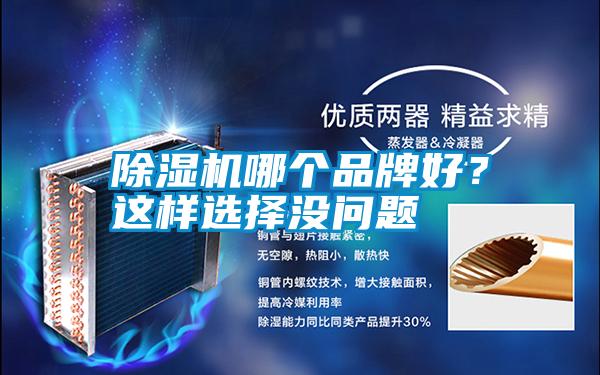 除濕機哪個品牌好?這樣選擇沒問題