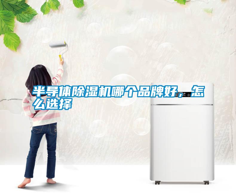 半導體除濕機哪個品牌好，怎么選擇