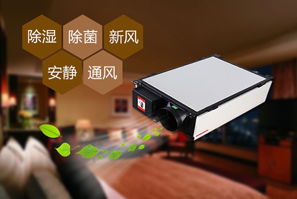 解決地下室的潮濕問題,除濕機可以解決且效果非常好