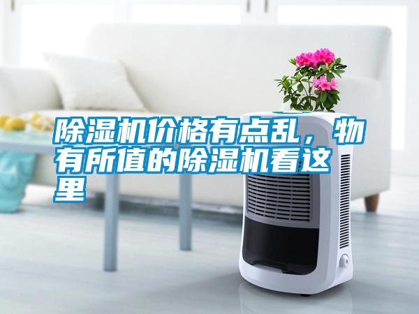 除濕機價格有點亂，物有所值的除濕機看這里