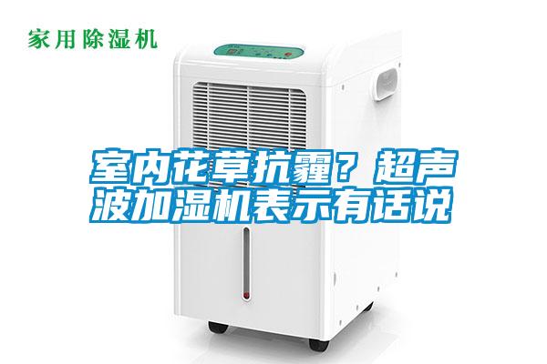 室內花草抗霾？超聲波加濕機表示有話說