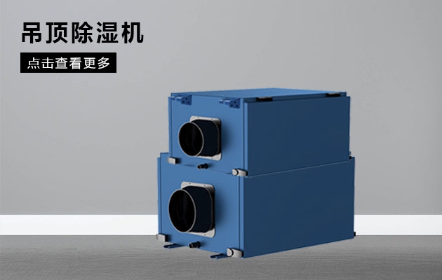 脾虛，濕氣重如何調理？