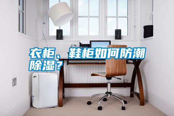 衣柜、鞋柜如何防潮除濕？