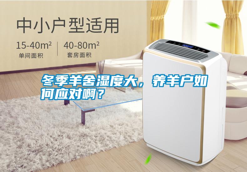 冬季羊舍濕度大，養(yǎng)羊戶如何應(yīng)對??？