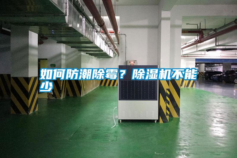 如何防潮除霉？除濕機(jī)不能少