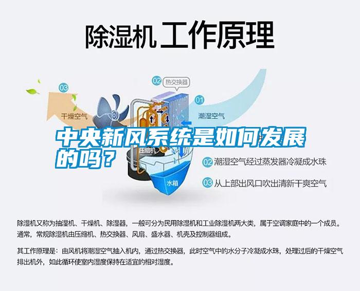 中央新風系統是如何發展的嗎?
