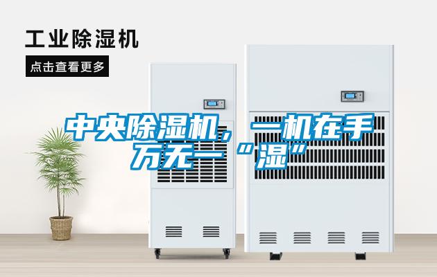 中央除濕機，一機在手萬無一“濕”