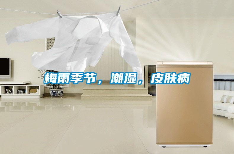 梅雨季節，潮濕，皮膚病