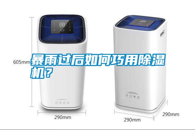 暴雨過后如何巧用除濕機?
