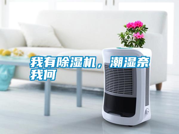 我有除濕機，潮濕奈我何