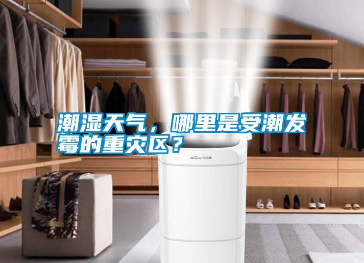 潮濕天氣，哪里是受潮發霉的重災區？