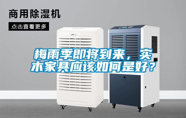 梅雨季即將到來，實木家具應該如何是好？