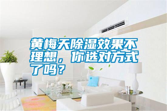 黃梅天除濕效果不理想，你選對方式了嗎？
