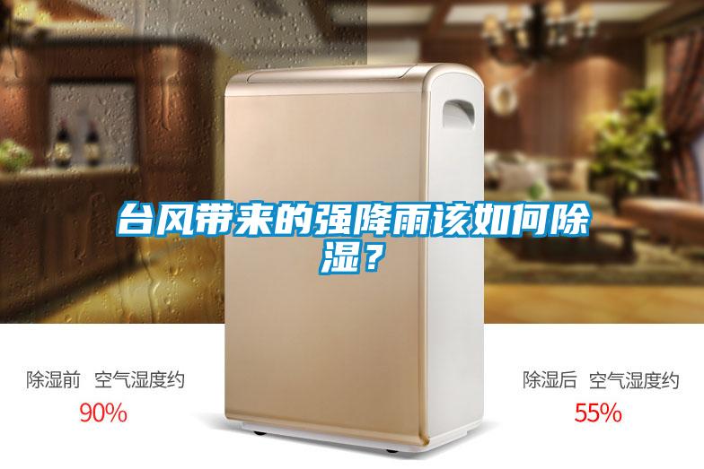 臺風帶來的強降雨該如何除濕？