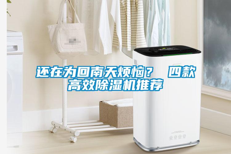還在為回南天煩惱？ 四款高效除濕機推薦