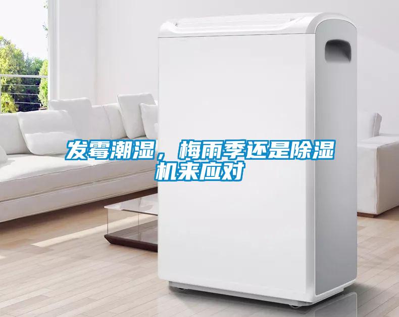 發(fā)霉潮濕，梅雨季還是除濕機(jī)來應(yīng)對