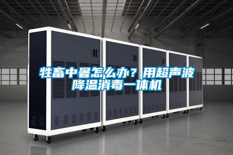 牲畜中暑怎么辦?用超聲波降溫消毒一體機