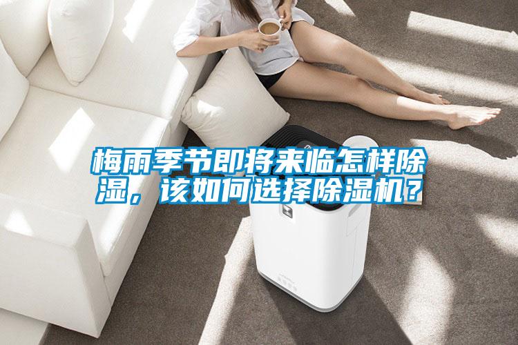 梅雨季節(jié)即將來臨怎樣除濕，該如何選擇除濕機(jī)？