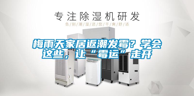 梅雨天家居返潮發(fā)霉？學(xué)會這些，讓“霉運(yùn)”走開