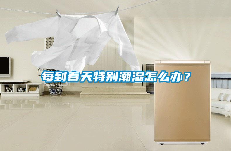 每到春天特別潮濕怎么辦？